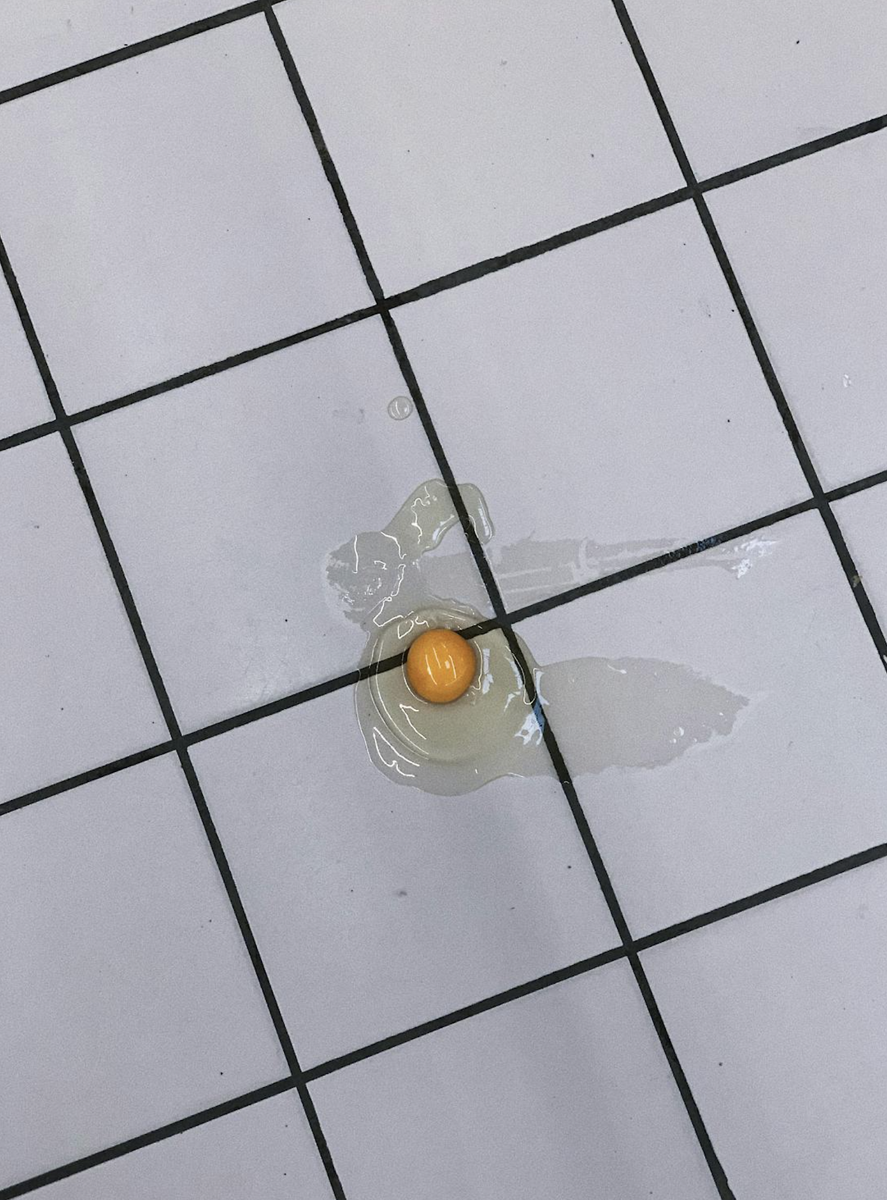 스크린샷 2024-08-23 오후 12.06.49.png