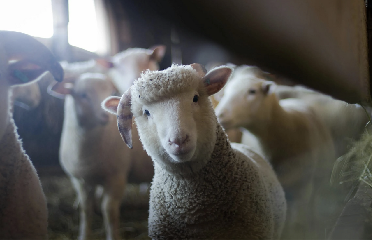 스크린샷 2024-08-23 오후 12.01.23.png