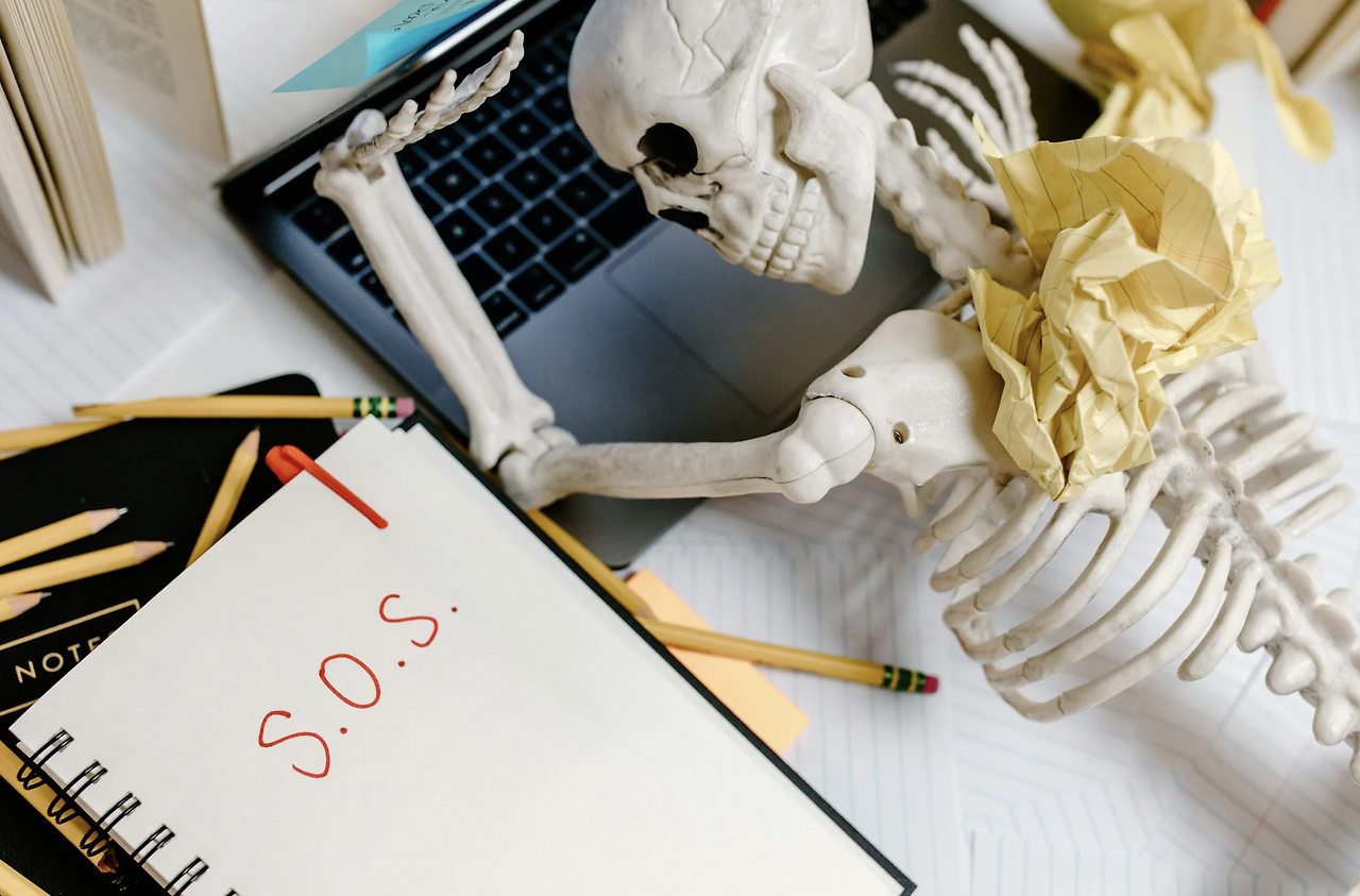 스크린샷 2024-07-18 오전 10.59.21.png