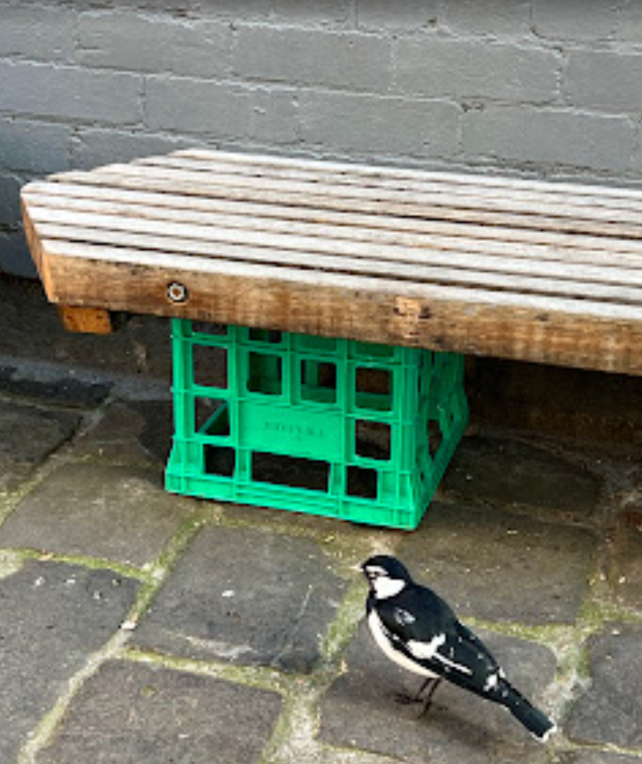 화면 캡처 2025-08-11 154511.png