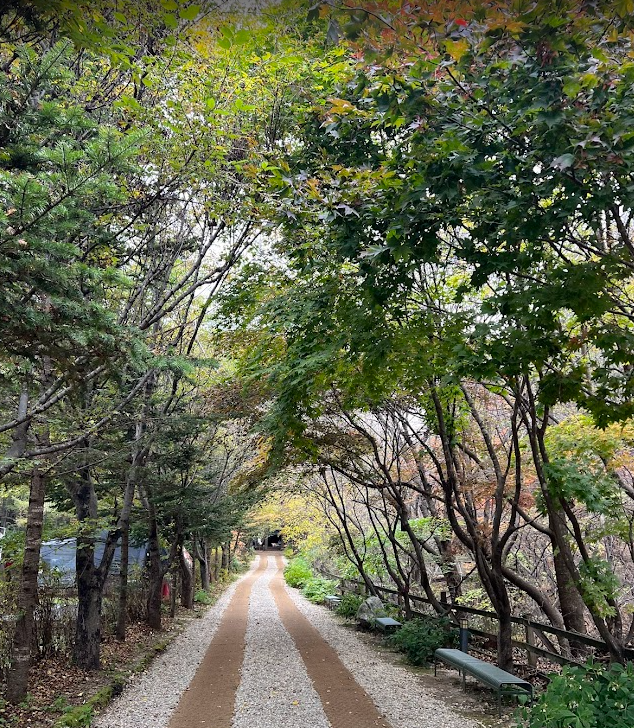 Screenshot 2025-10-28 20.42.46.png