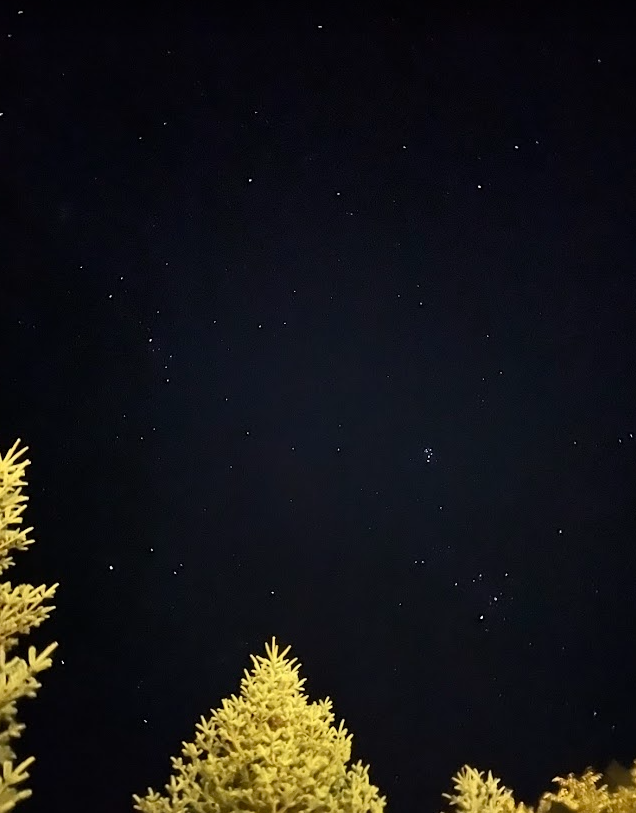 Screenshot 2025-11-07 20.41.21.png