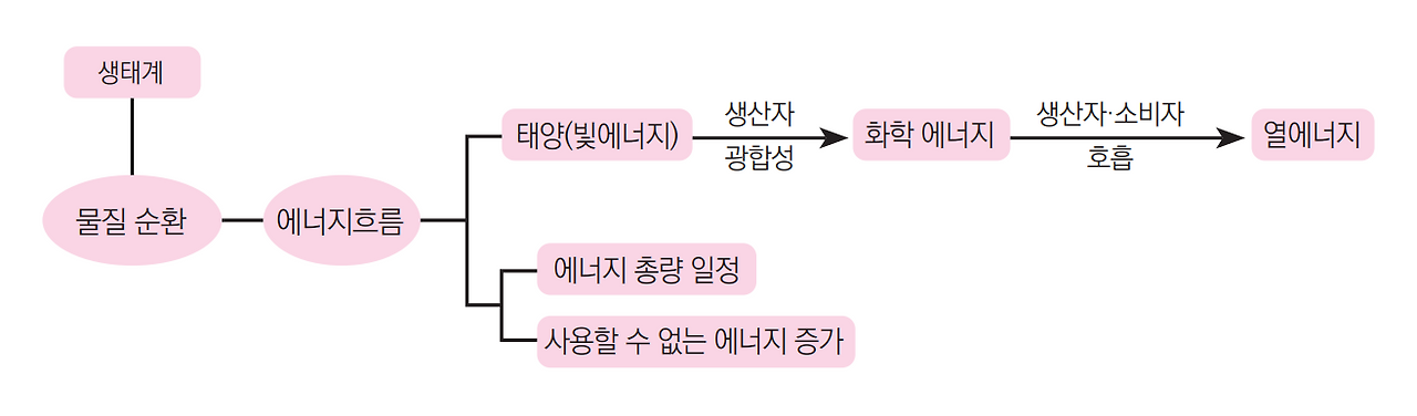 화면 캡처 2023-01-13 091546.png