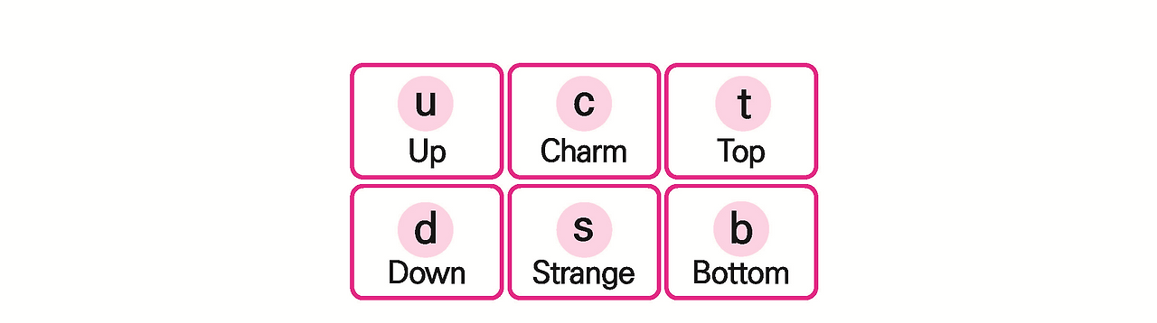 표 5 쿼크의 종류.png