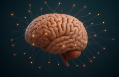 스크린샷 2025-06-17 110610.png