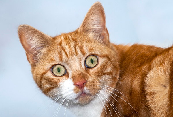 스크린샷 2024-07-14 160843.png