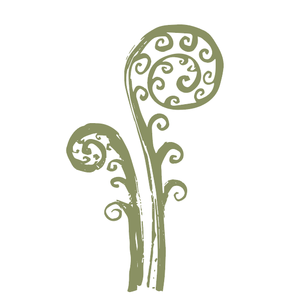 스크린샷 2024-12-11 235803.png