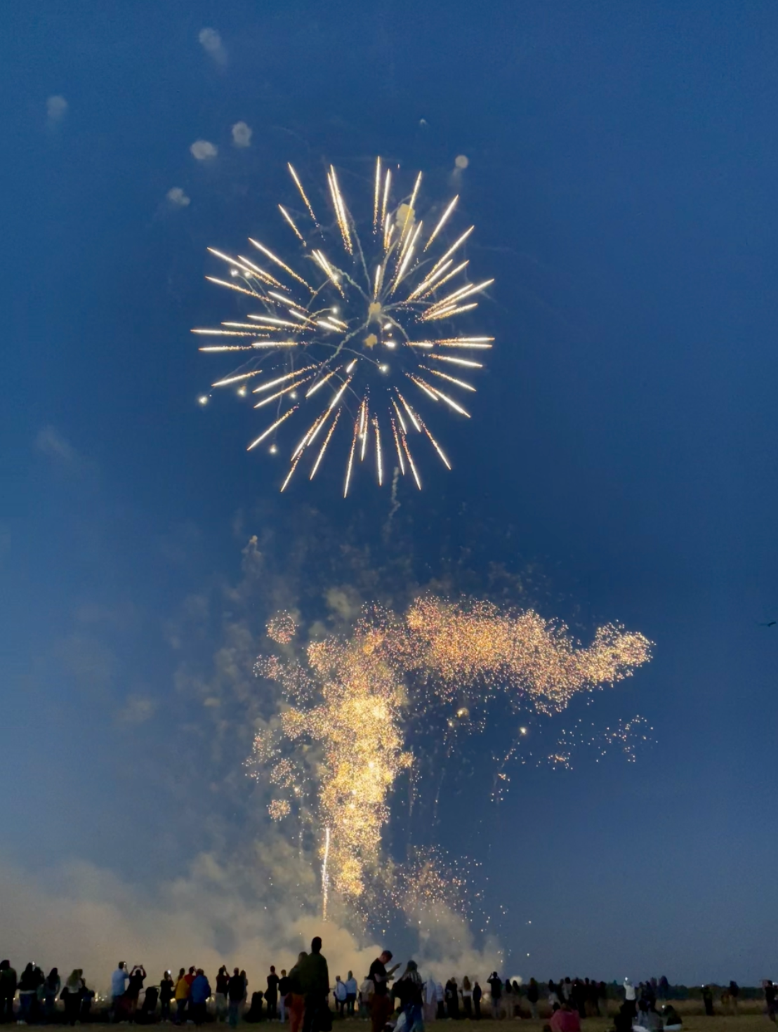 Screenshot 2024-09-30 at 2.34.25 PM.png