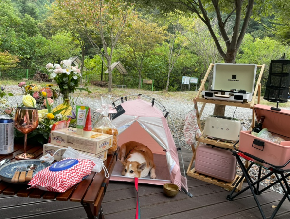 스크린샷 2025-12-09 225714.png