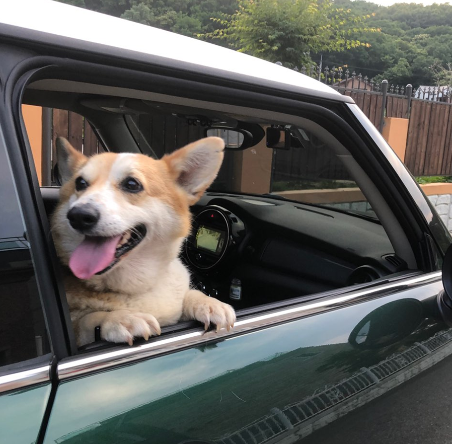 스크린샷 2025-11-02 175630.png