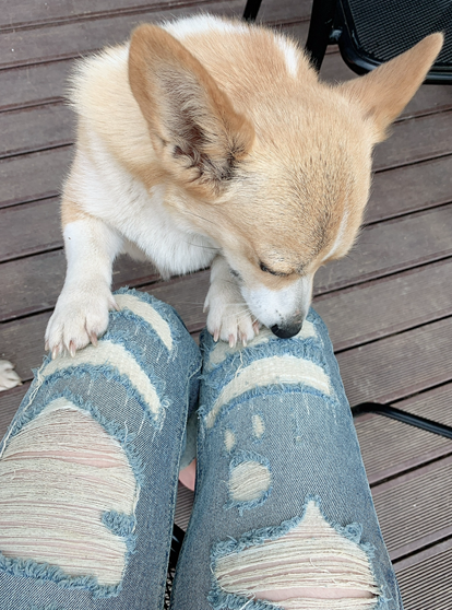 스크린샷 2025-11-02 175507.png