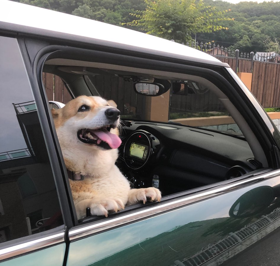 스크린샷 2025-11-02 175653.png