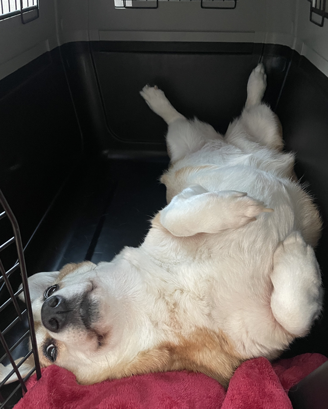 스크린샷 2025-11-02 181221.png