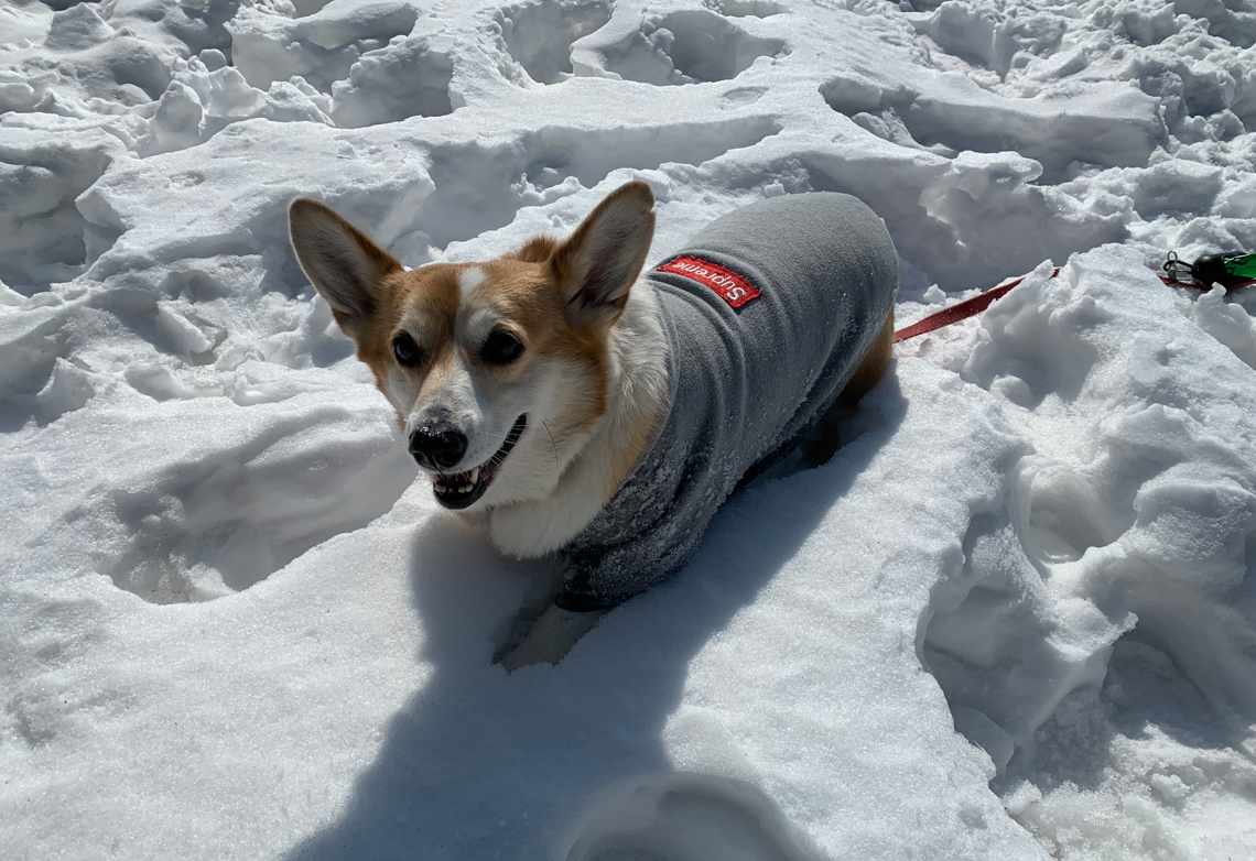 스크린샷 2025-11-02 181107.png