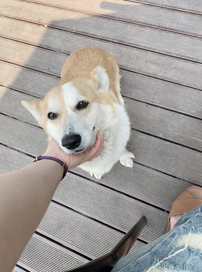 스크린샷 2025-11-02 175519.png