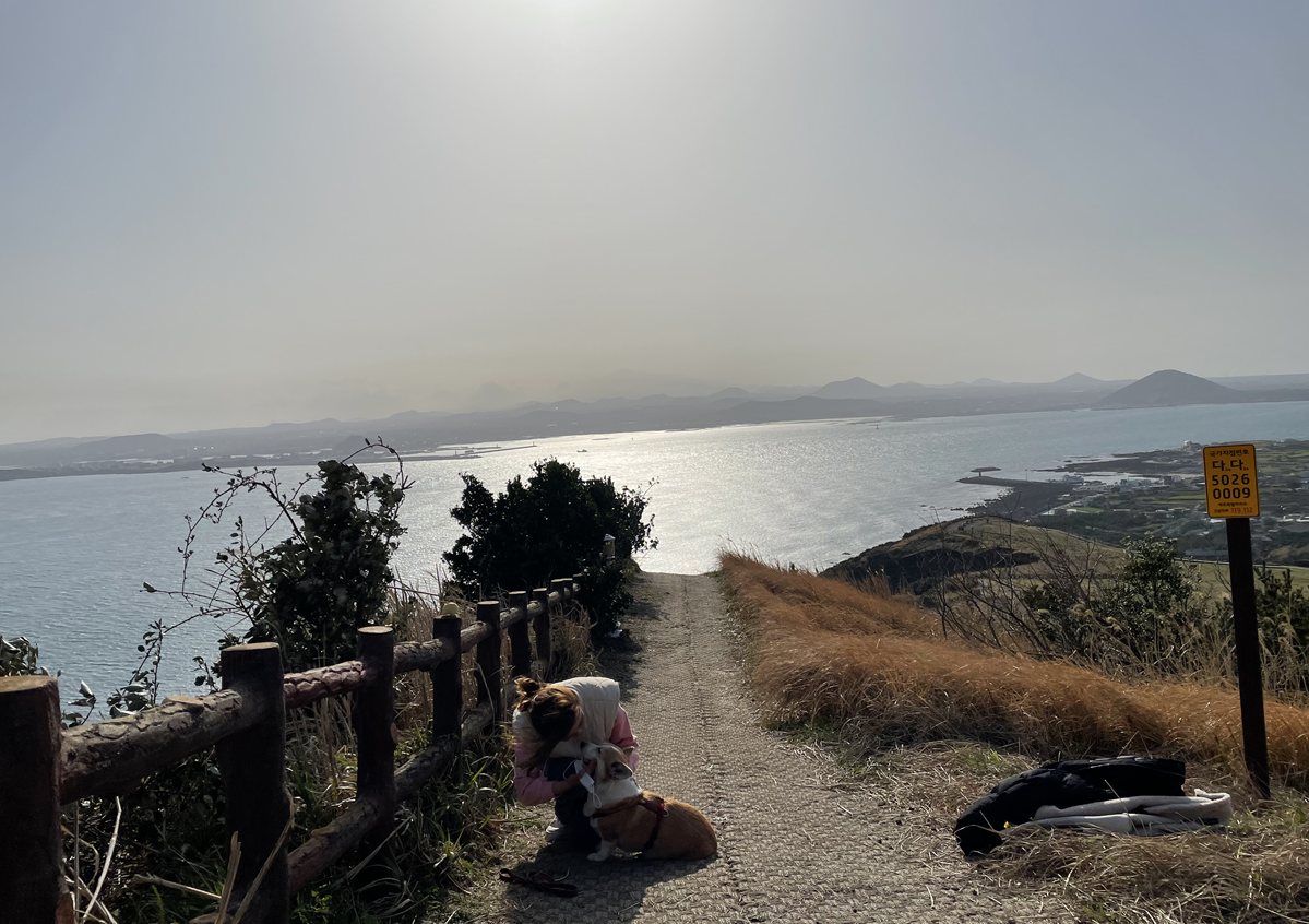 스크린샷 2025-11-02 175814.png