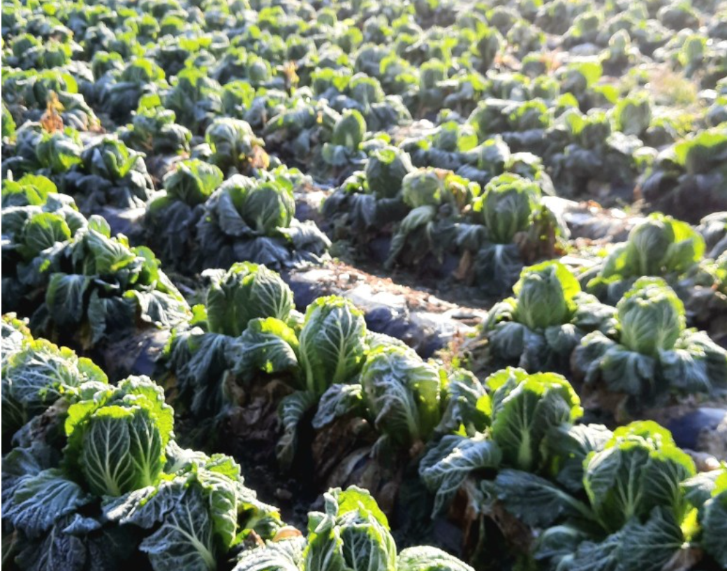 스크린샷 2023-11-19 194015.png