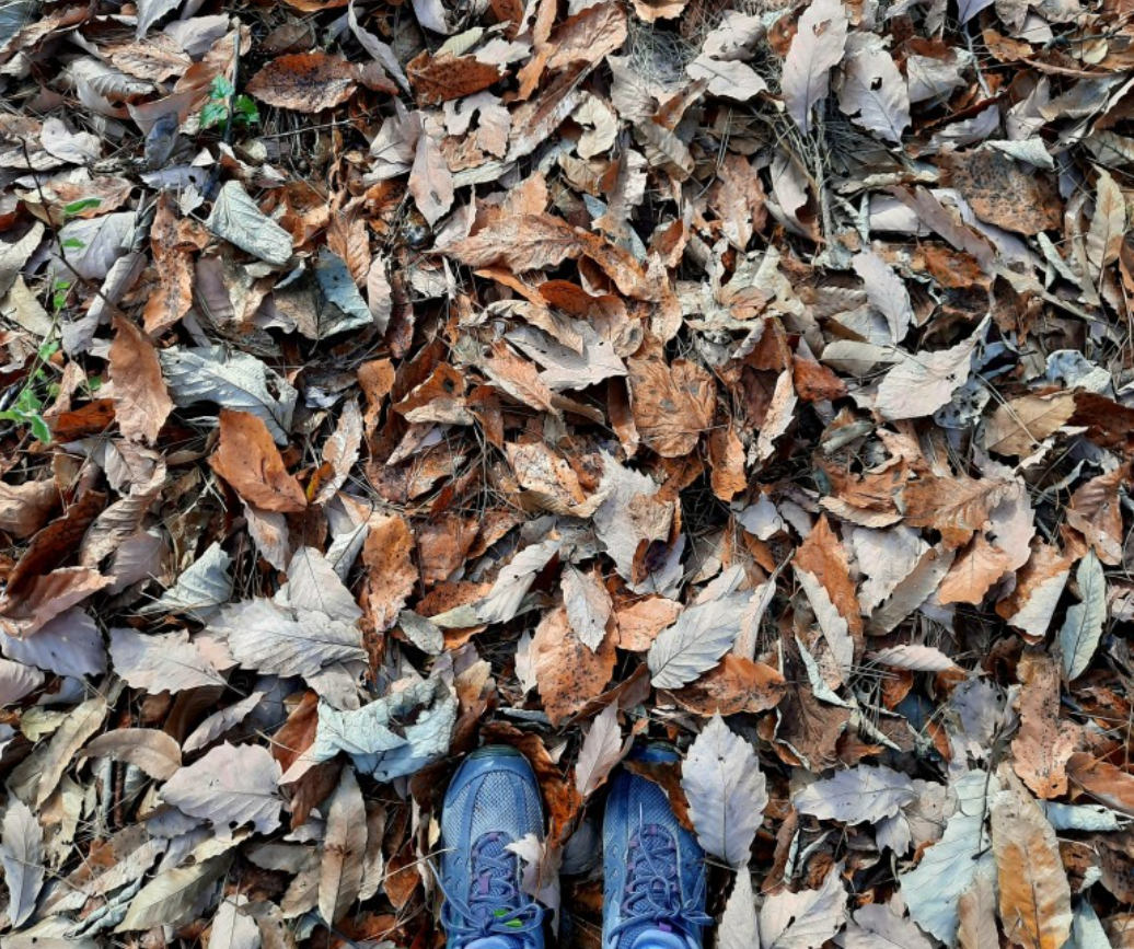 스크린샷 2023-11-19 194056.png