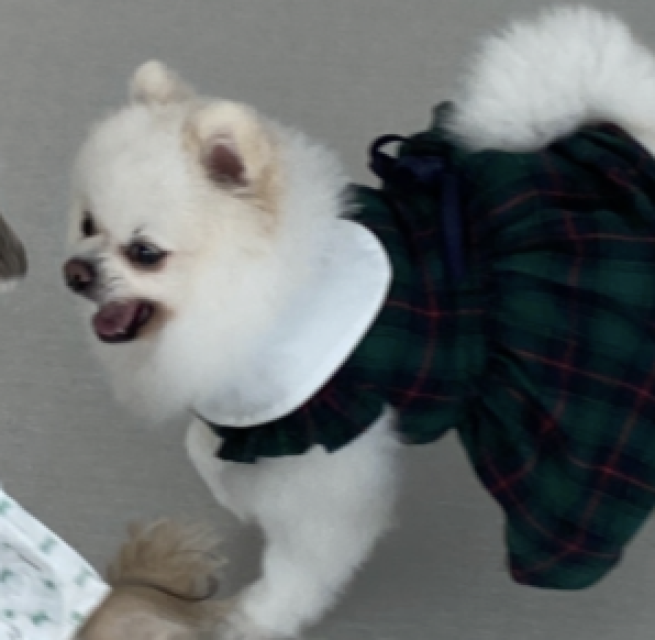 스크린샷 2024-03-07 오후 2.51.58.png