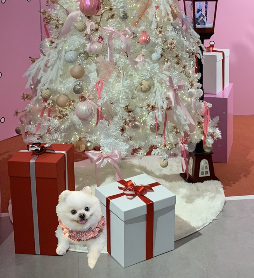 스크린샷 2023-12-13 오전 9.38.52.png