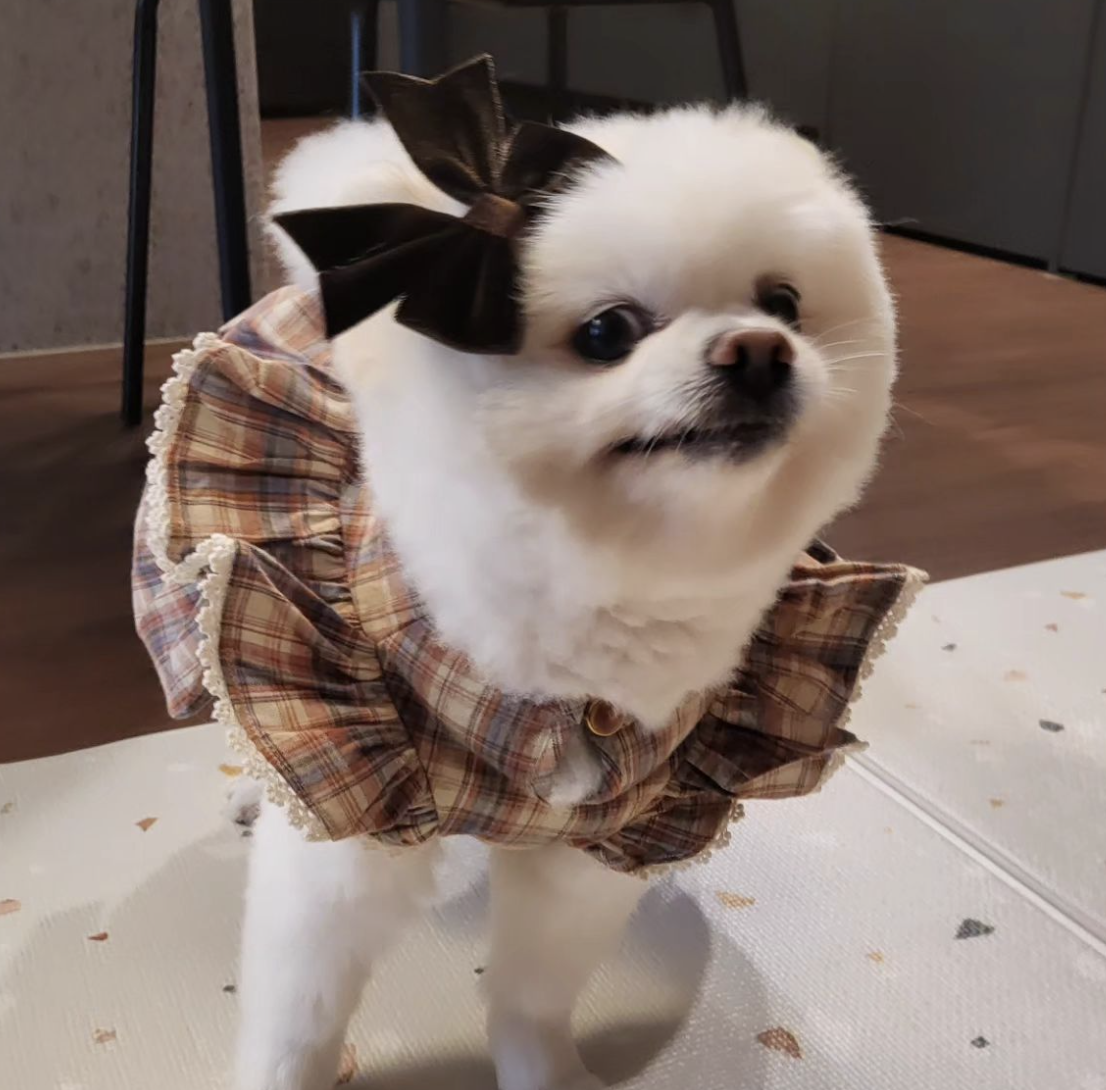 스크린샷 2024-01-22 오후 12.42.36.png