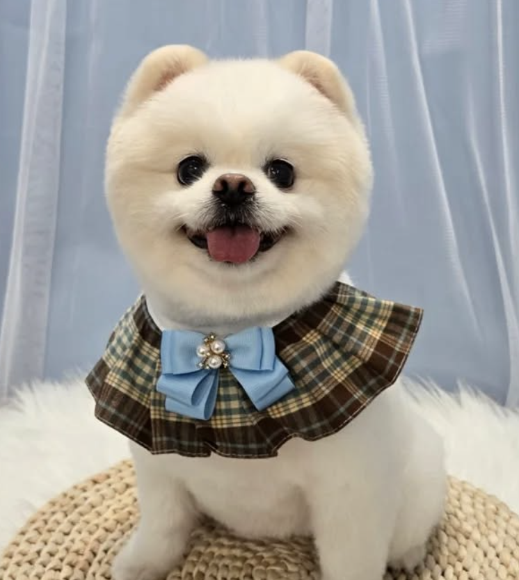 스크린샷 2025-03-27 오후 1.13.26.png