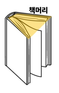 2025-01-11 19 46 06.png