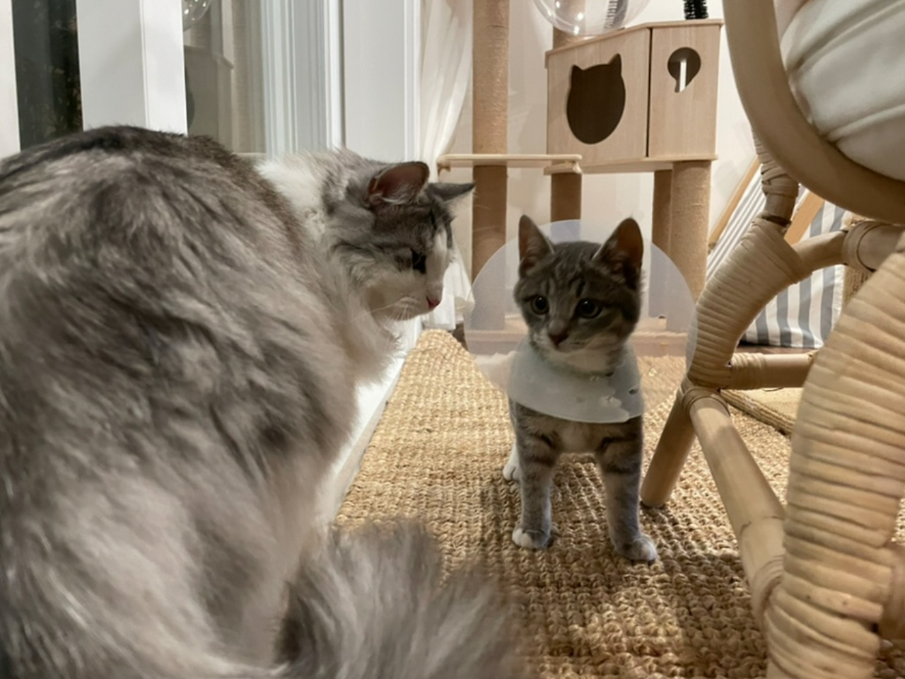 스크린샷 2023-08-26 오후 4.42.41.png