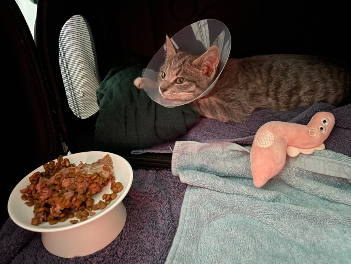 스크린샷 2023-08-26 오후 4.42.12.png