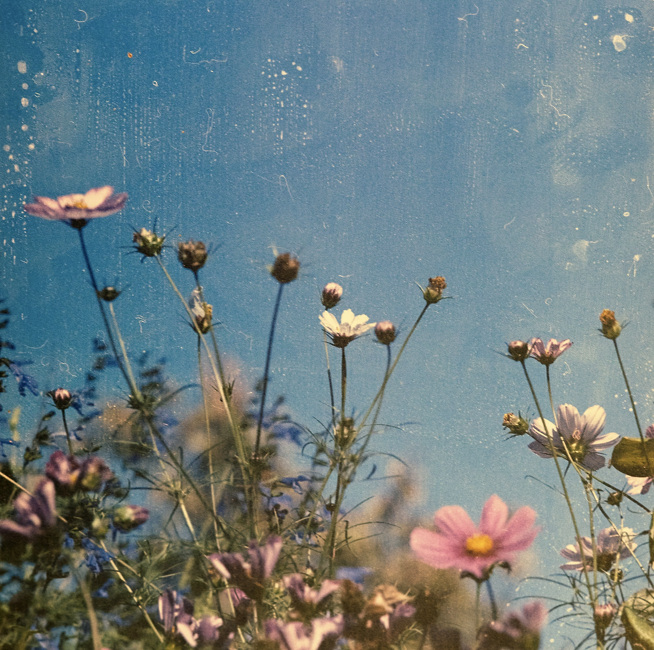 스크린샷 2021-11-26 오후 11.10.26.png