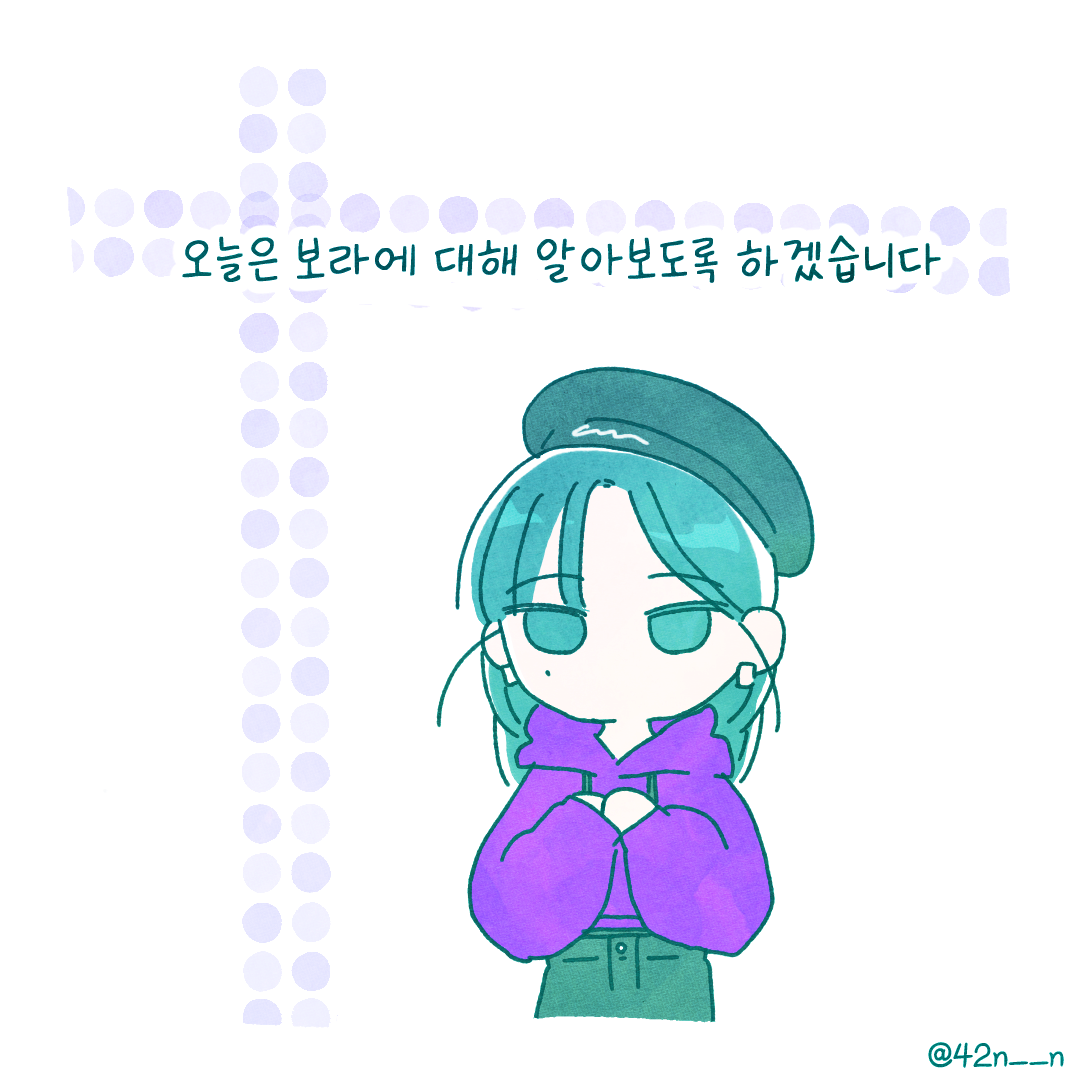 보라1.png