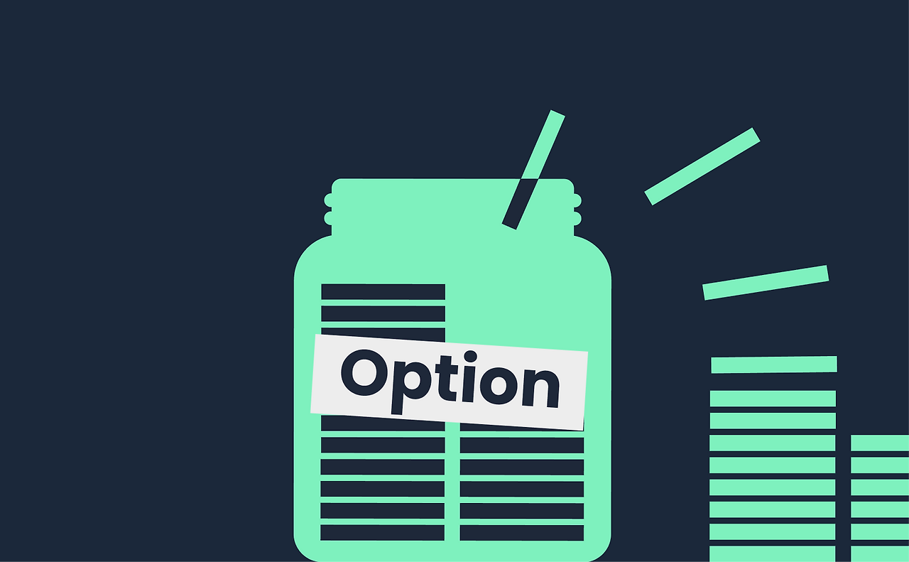 스톡옵션 부여.png