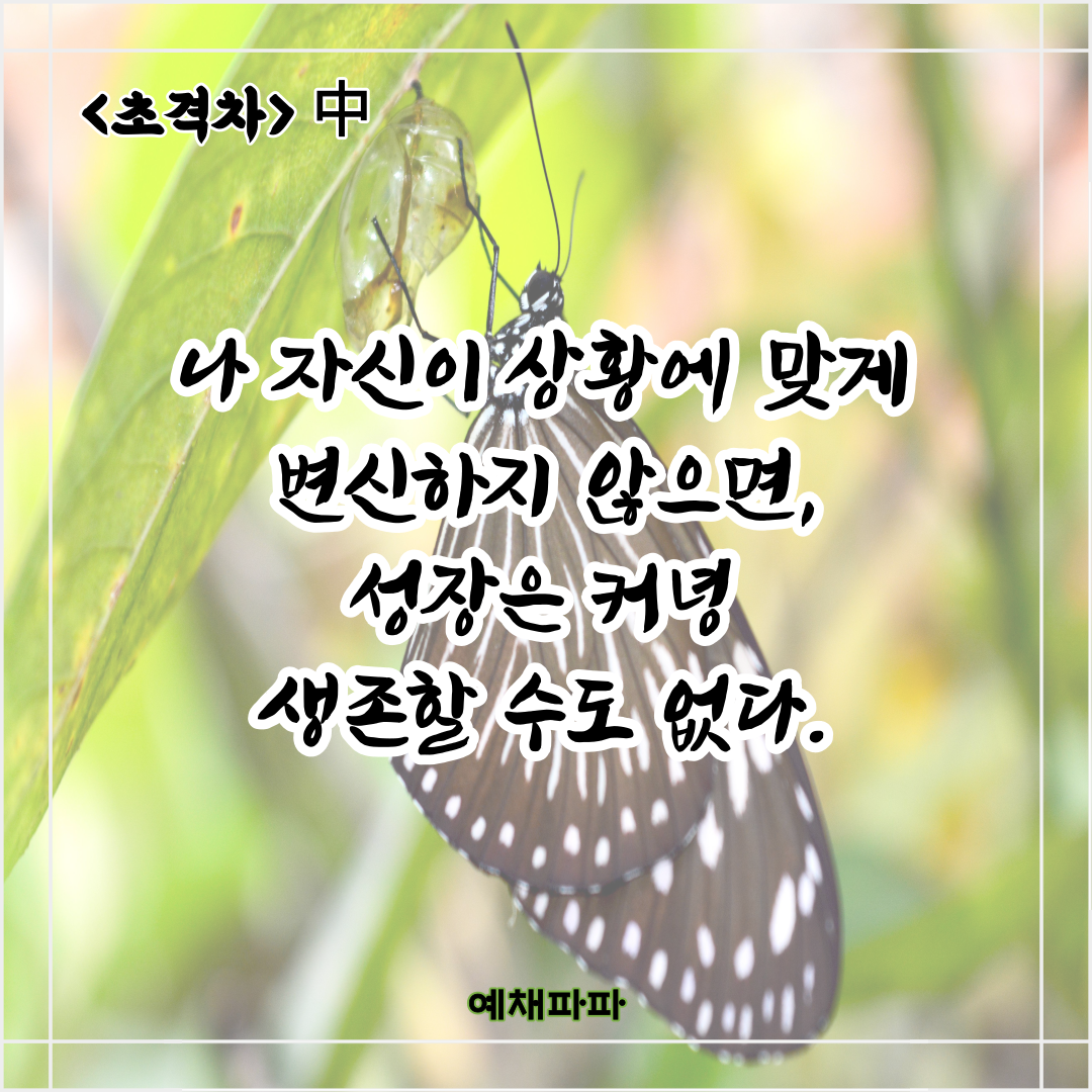 96_초격차_성장.png