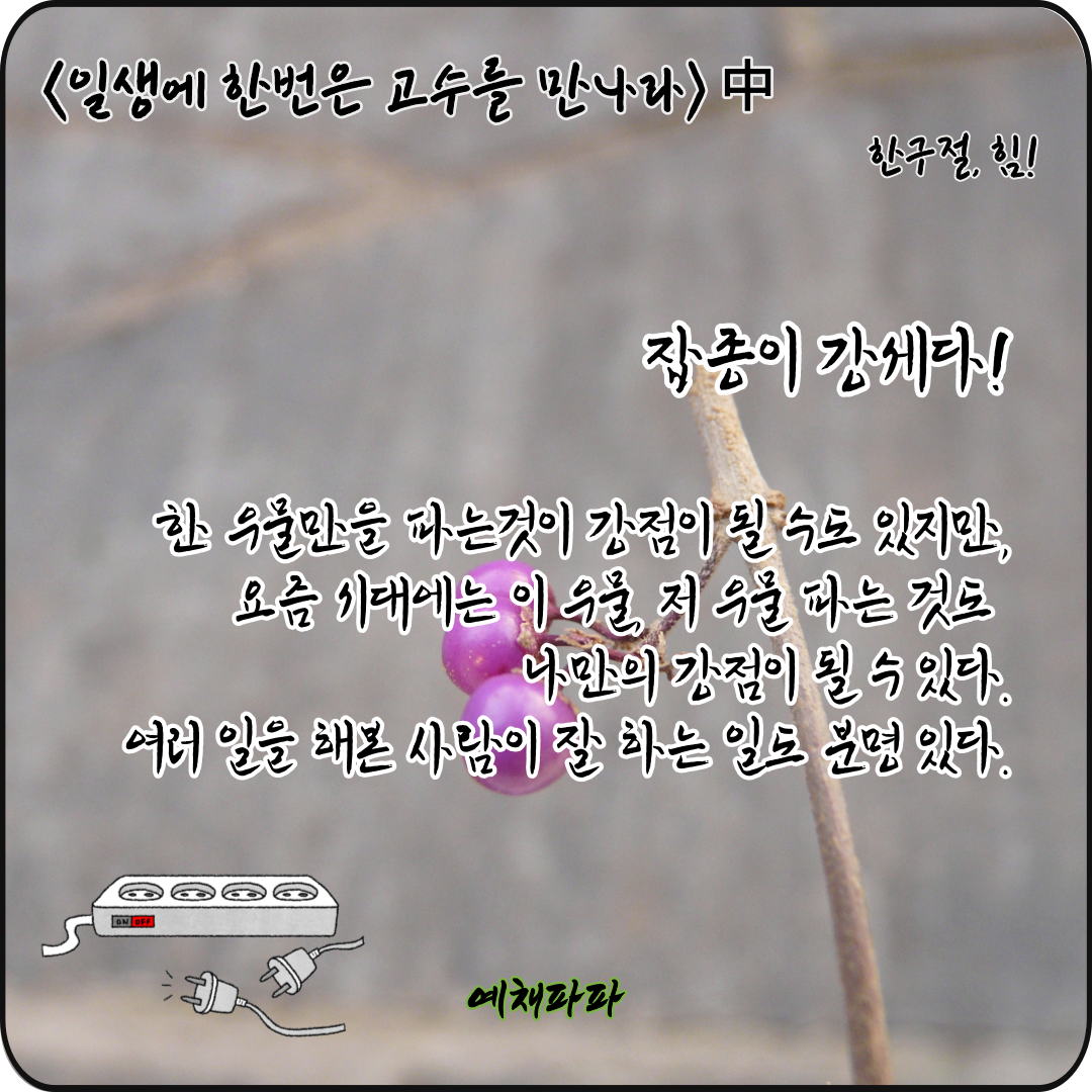 49_14_일생고수_잡종.png