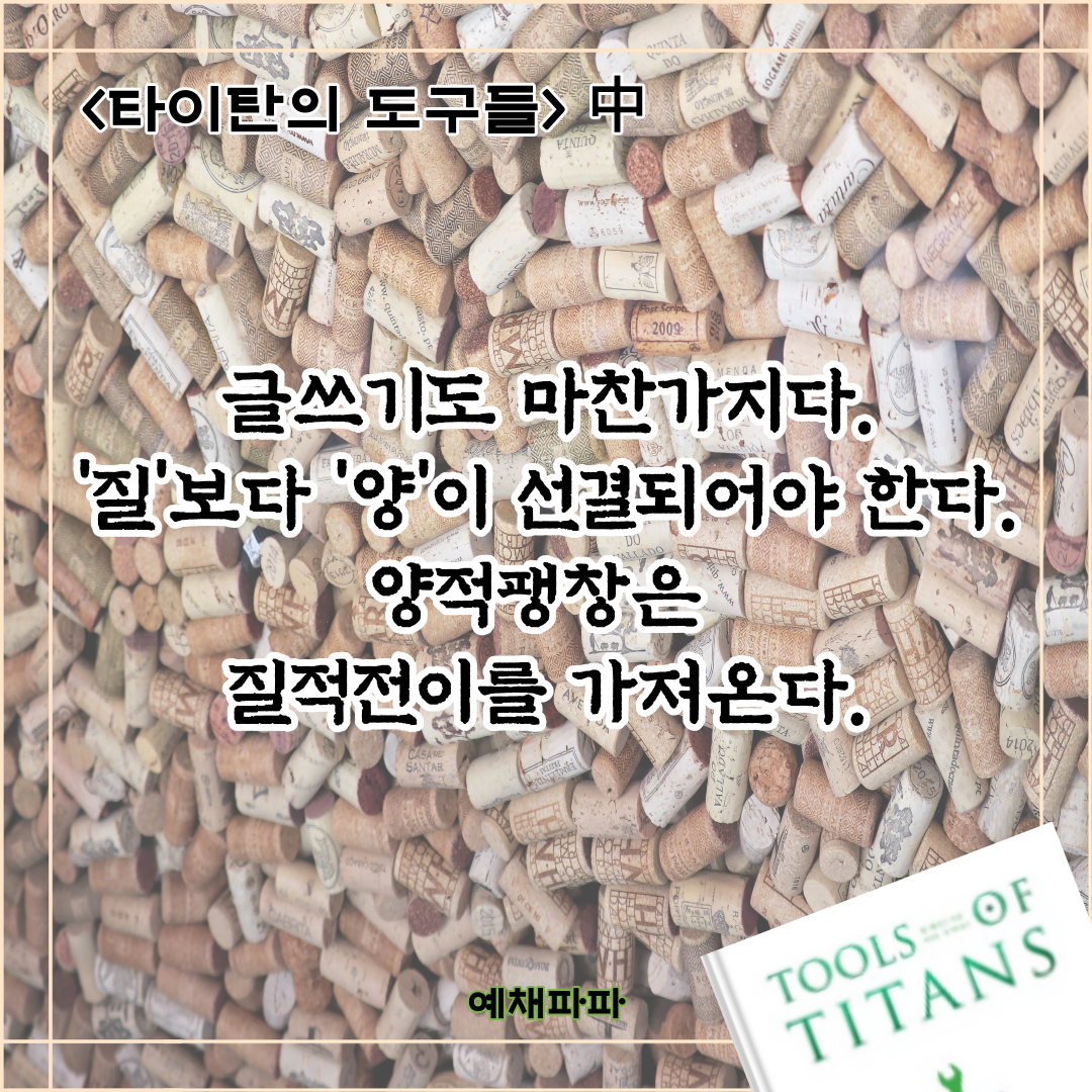 95_타이탄_질과양.png