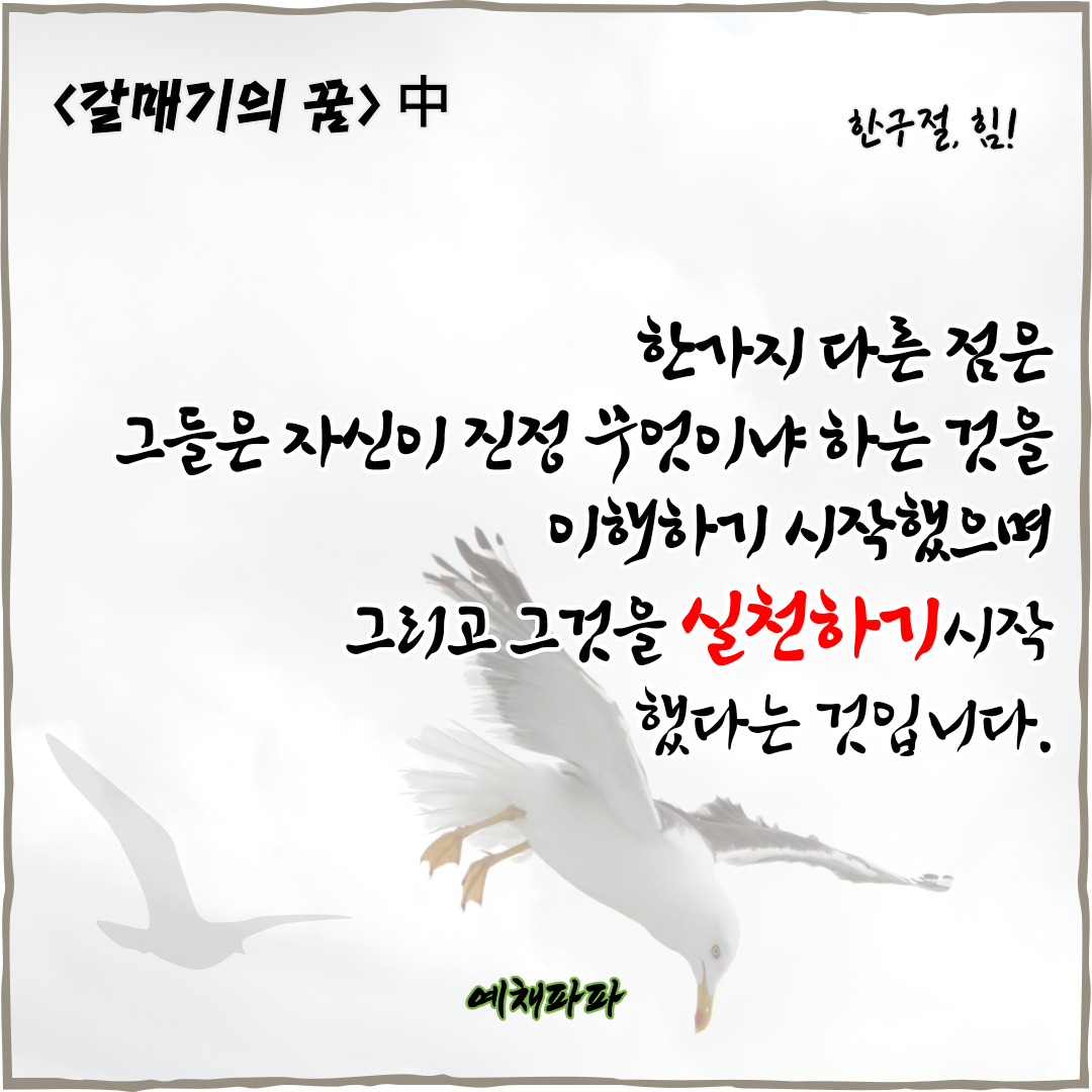 8_12_갈매기의꿈_실천.png