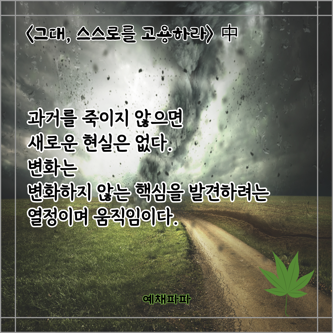 77_그대고용_변화.png