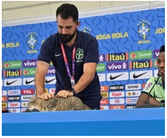 브라질 선수단.png