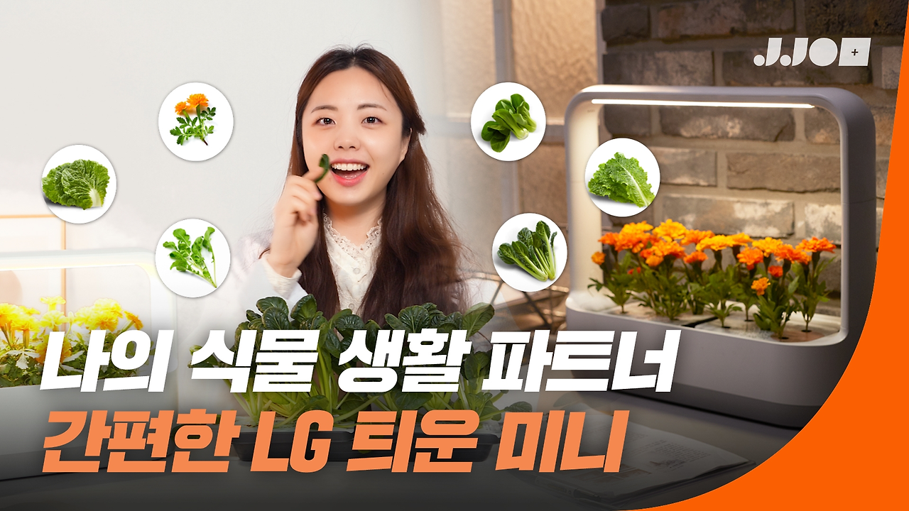 MicrosoftTeams-image (1).png