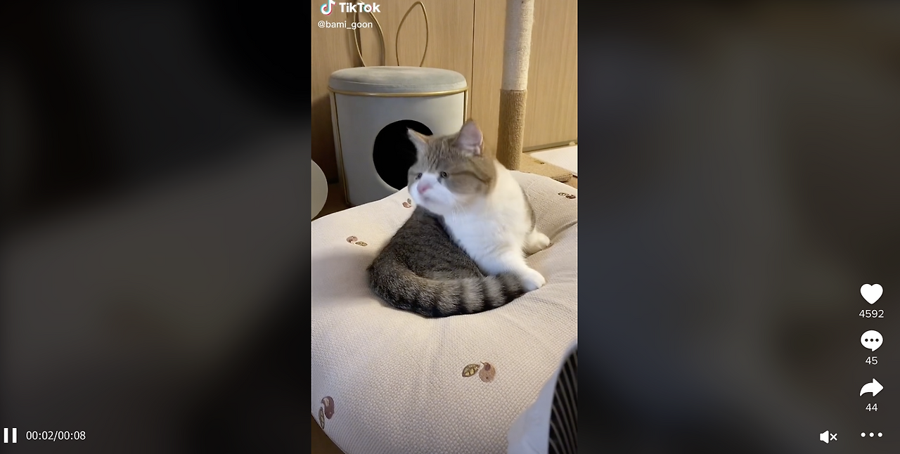 스크린샷 2022-08-26 오전 10.27.45.png