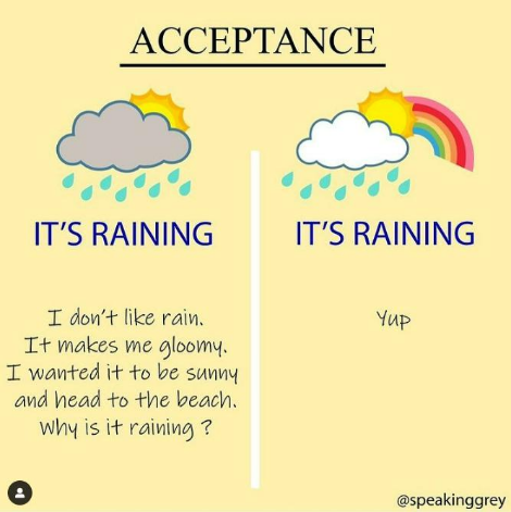 2022-07-05 22_47_31-Speaking Grey on Instagram_ “Radical Acceptance for the win� . . Radical Accept.png