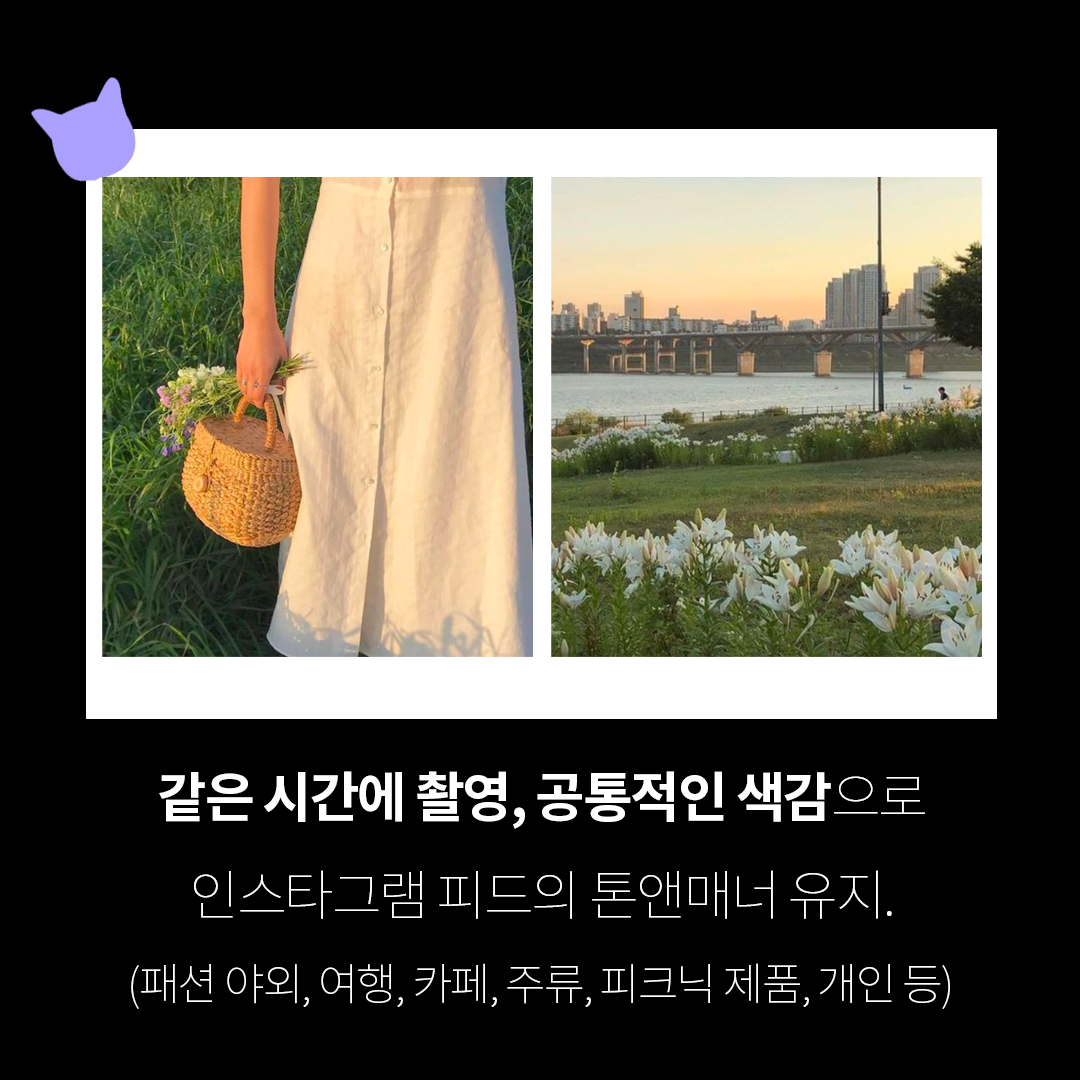 요즘 사진 트렌드 copy.png