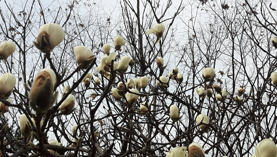 2025-04-08 15;13;38_.png