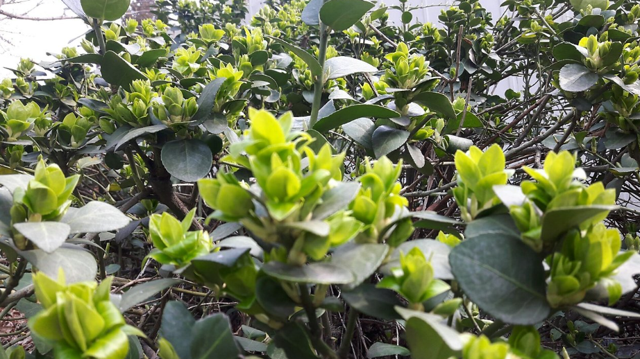 2025-04-08 15;13;21_.png