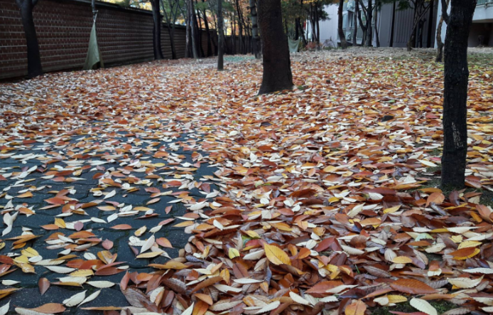 2025-10-30 10;26;44_.png