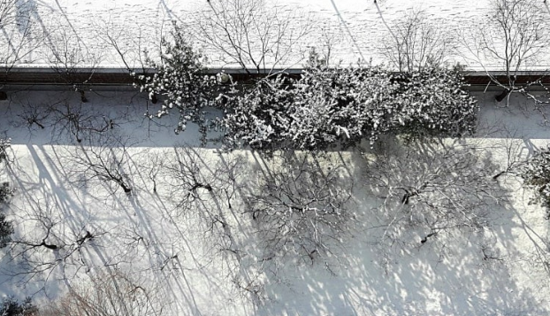 2026-01-16 15;35;46_.png