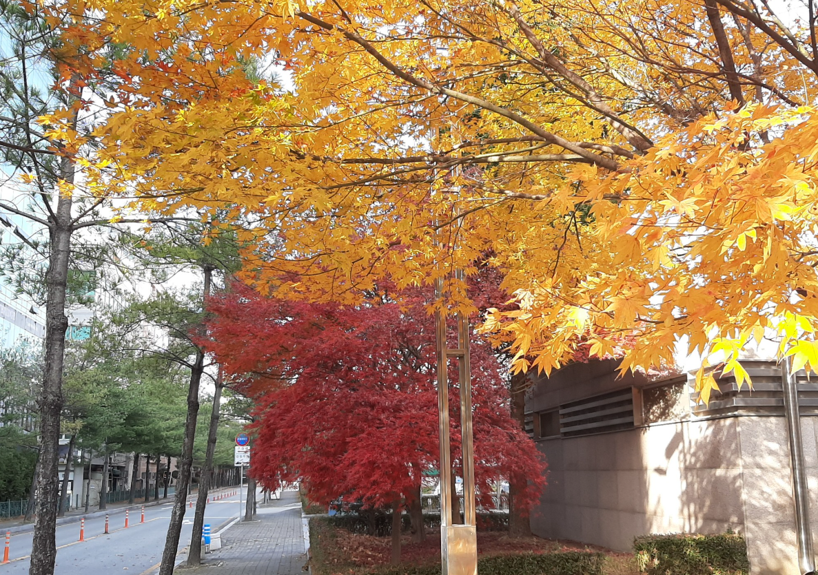 2025-11-08 13;16;51_.png