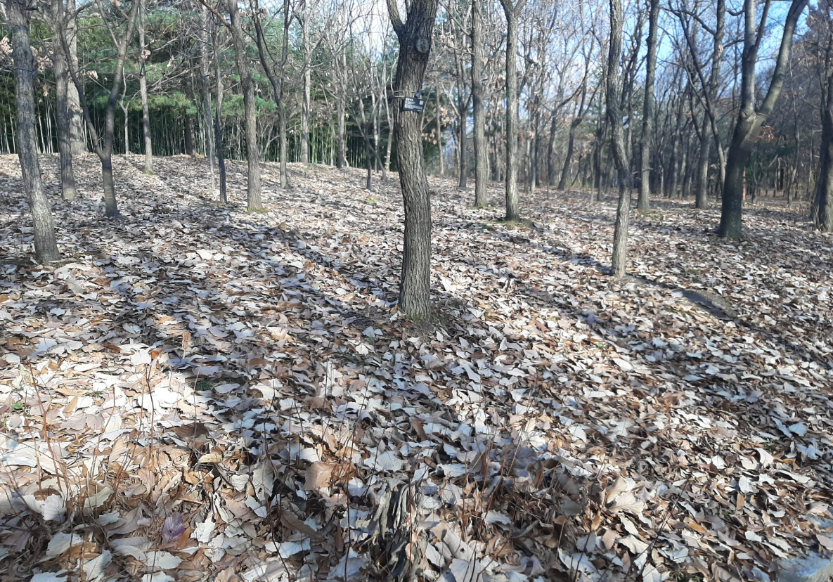 2025-11-08 13;18;46_.png