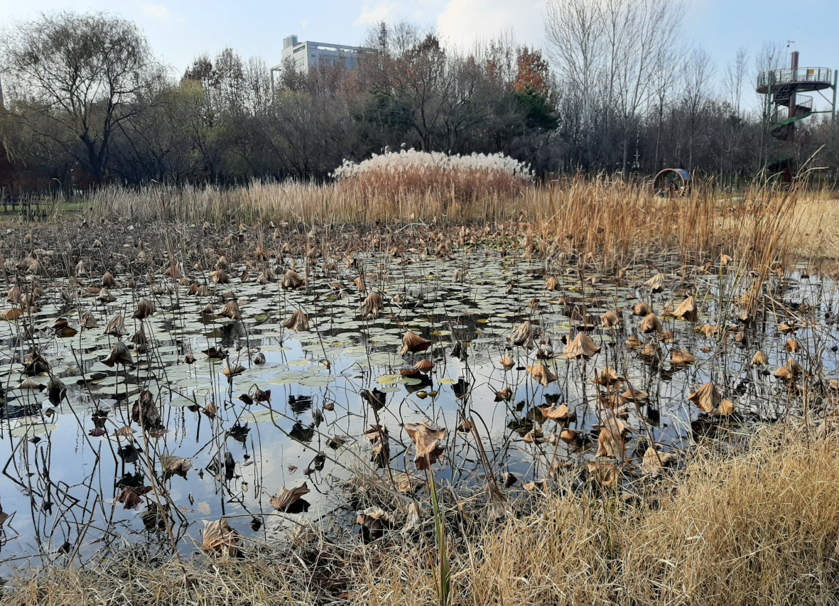 2025-11-08 13;20;00_.png