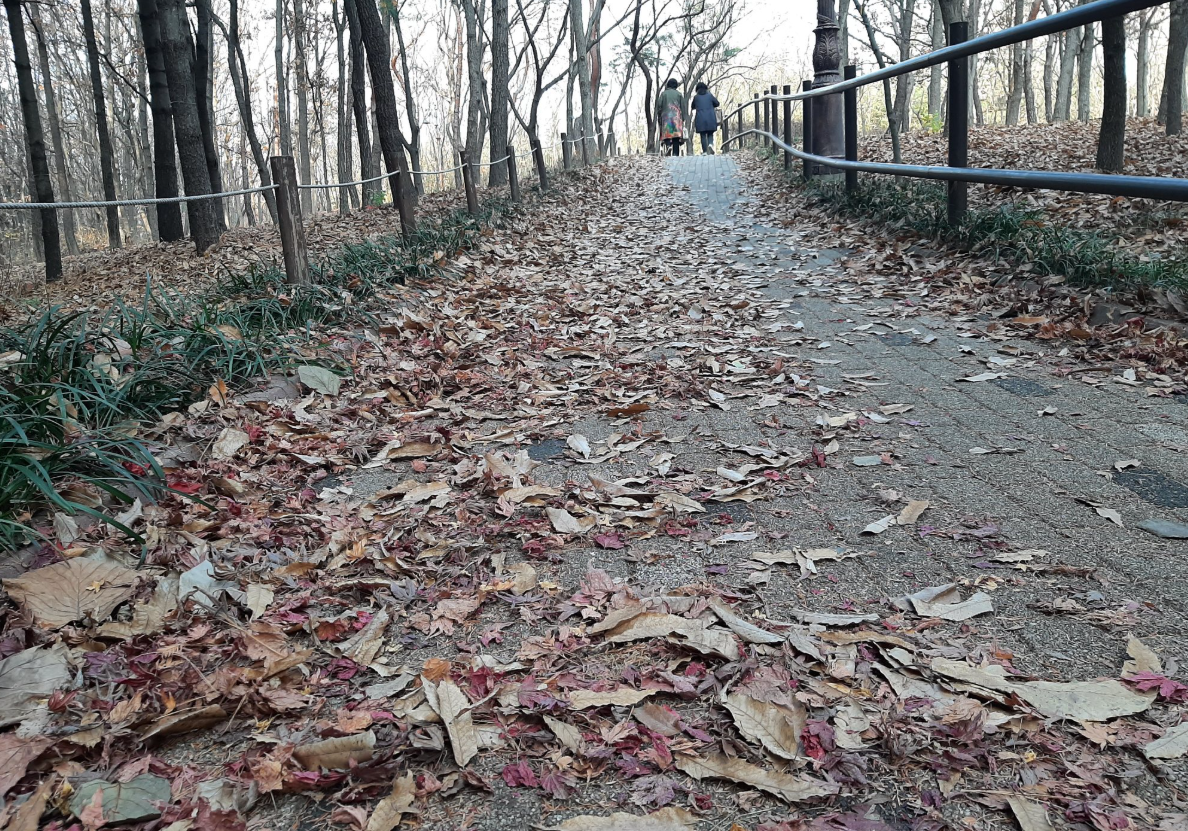 2025-11-08 13;17;49_.png